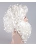Professional Father Xmas Santa Claus Wig and Beard Set HX-014